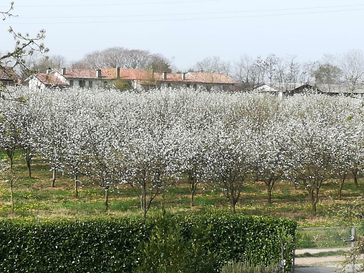 Отель Borgo Barucchella Sant'Andra Экстерьер фото